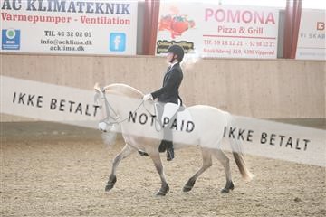 173782_mtp_01_3M5A7023.JPG
