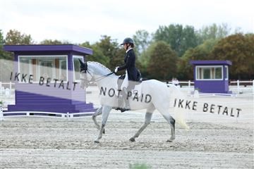 181923_mtp_04_R62_9107.JPG