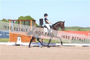 181449_bc_01R62_6282.JPG