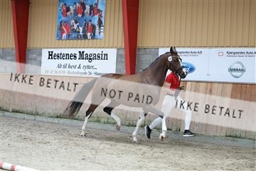181868_mtp_02_R62_5455.JPG