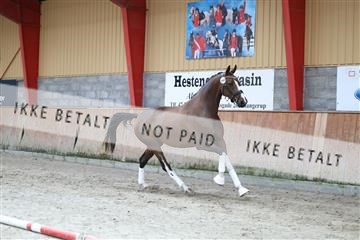 181868_mtp_02_R62_5423.JPG