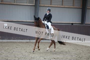 171210_mtp_01_3M5A6431.JPG