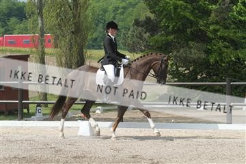 135086_sg_01_IMG_0214.JPG
