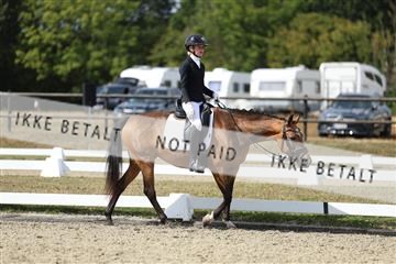 181894_mtp_05_R62_4665.JPG