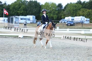 181894_mtp_05_R62_5385.JPG