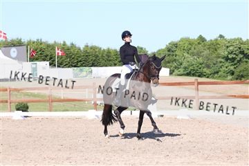 181449_bc_01R62_6148.JPG