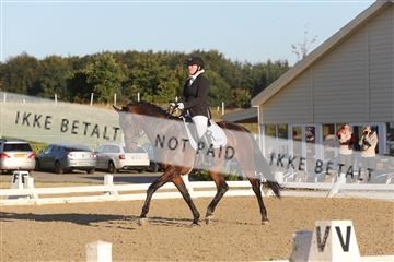148862_sg_01_IMG_2299.JPG