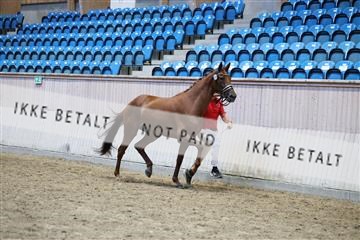 181887_mtp_06_R62_9990.JPG