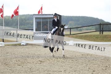 181894_mtp_05_R62_4351.JPG