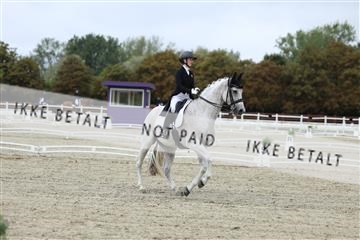 181923_mtp_04_R62_8395.JPG