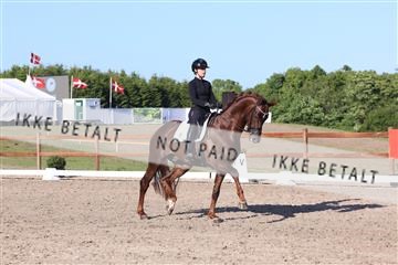 181449_bc_01R62_6386.JPG