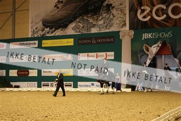 126407_abo_16_IMG_0248.JPG