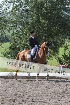 135676_sg_01_IMG_7527.JPG