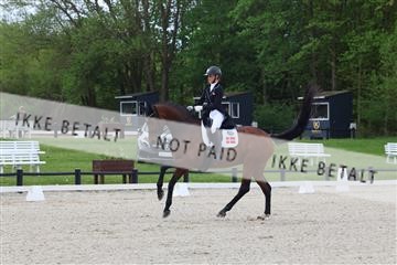 179330_avh_01_5255.JPG