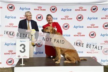 181848_kar_01__62_4493.JPG