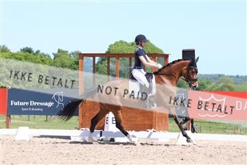 181449_bc_01R62_5832.JPG