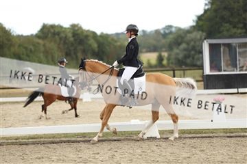 181894_mtp_03_R62_2541.JPG