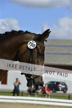 136195_abo_01__AB16456.JPG