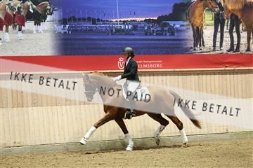 175676_avh_01_R62_4469.JPG