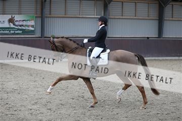 171210_mtp_01_3M5A6228.JPG