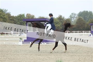 181923_mtp_04_R62_8300.JPG