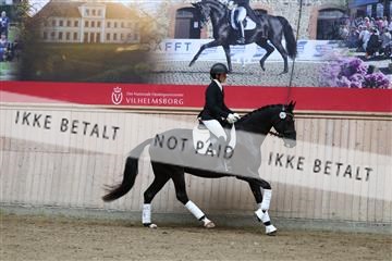 181887_mtp_01_R62_6768.JPG