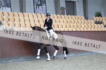 181852_mtp_02_R62_1646.JPG