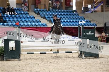175934_avh_02_7561.JPG