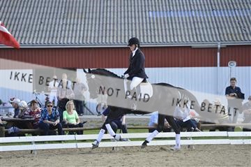 136195_abo_01__AB16272.JPG