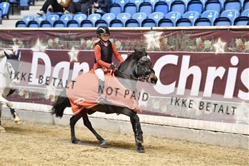 161006_abo_01__D050528.JPG