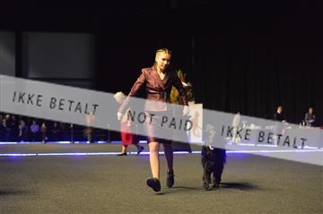 170129_bkn_01__D040003.JPG