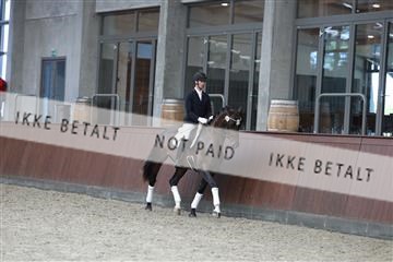 181852_mtp_05_R62_3175.JPG
