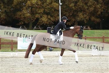 181923_mtp_03_R62_7941.JPG