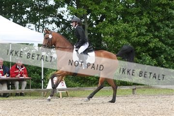 135518_ms_01_IMG_1415.JPG