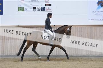 160111_nn_01__ESK1923.JPG