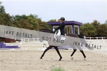 181923_mtp_01_R62_6362.JPG