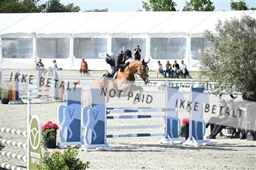 175268_akl_01_Z6D_9292.JPG