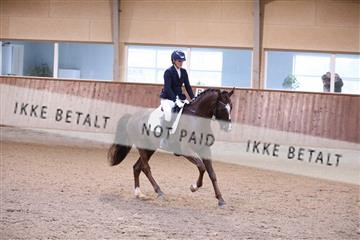 173821_mtp_01_3M5A9672.JPG