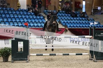 175934_avh_02_8131.JPG