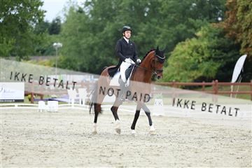 181923_mtp_01_R62_6794.JPG