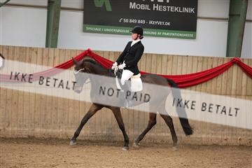 171342_mtp_01_3M5A7406.JPG