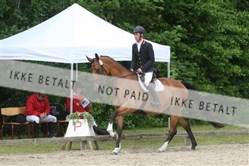 135518_ms_01_IMG_1496.JPG