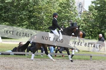 135518_ms_01_IMG_1890.JPG
