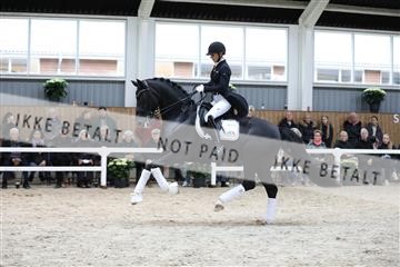 179088_mtp_01_3M5A4066.JPG