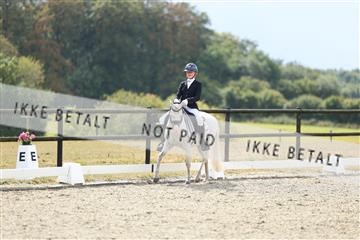 181894_mtp_05_R62_4390.JPG
