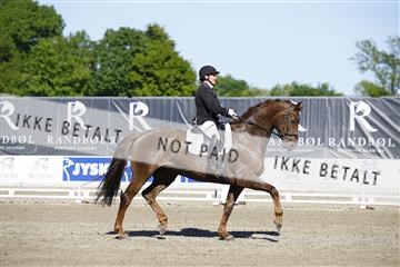 181449_kbb_01_6II9678.JPG