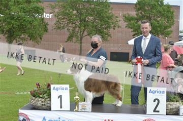 168981_bkn_01__MHR0219.JPG