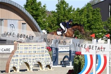 181436_avh_01_3173.JPG