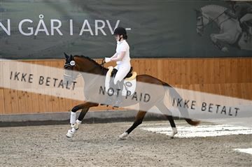 181595_kbb_01_Z098280.JPG