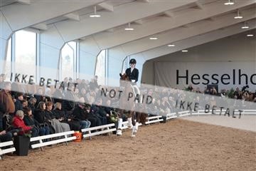 179022_kbb_01_R6II2550.JPG